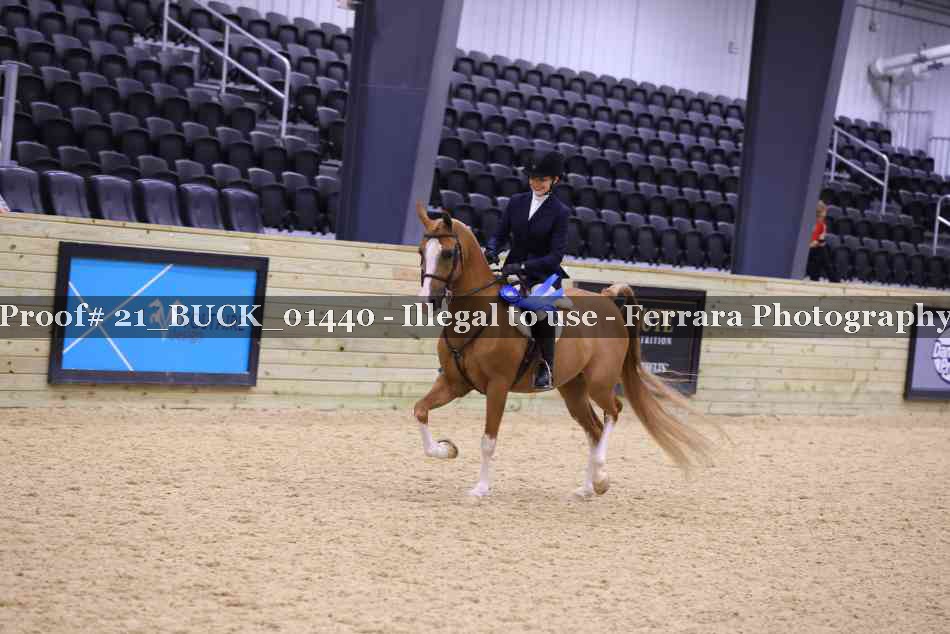 Proof 21_BUCK_01440