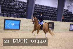 21_BUCK_01440 proof