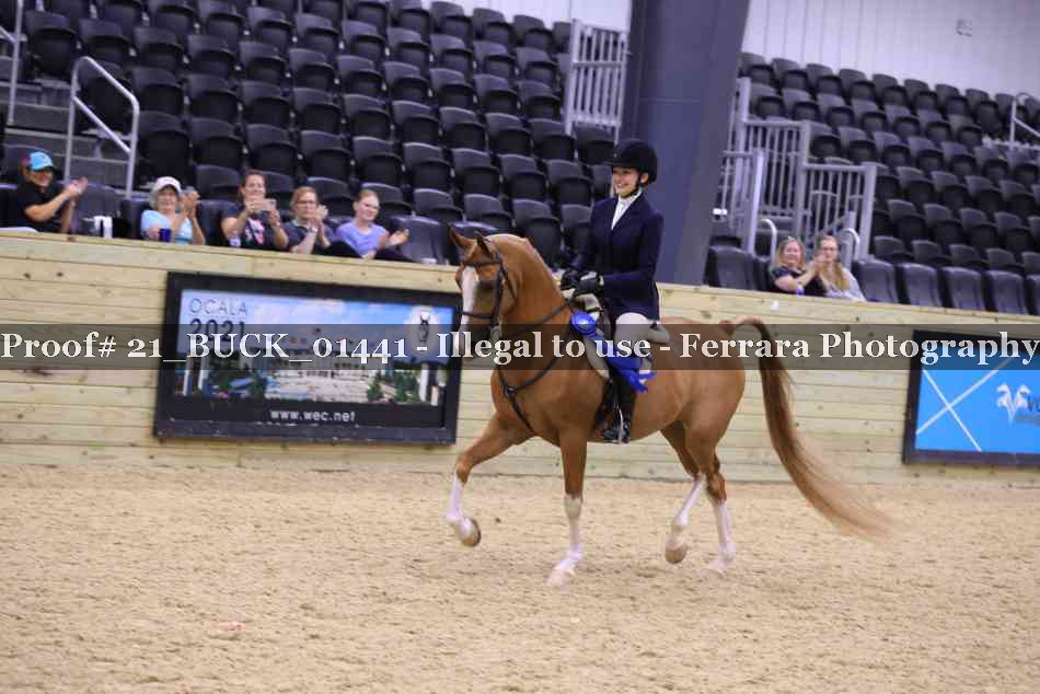 Proof 21_BUCK_01441