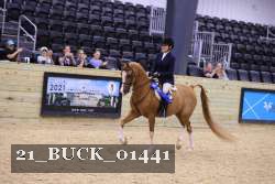 21_BUCK_01441 proof