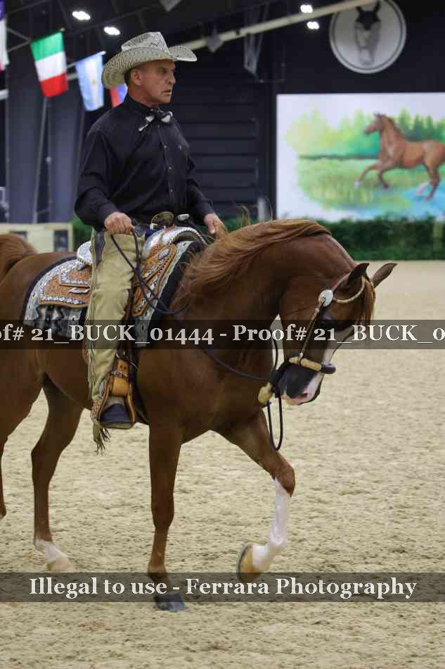 Proof 21_BUCK_01444