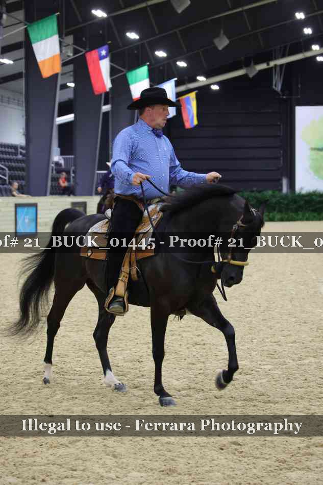 Proof 21_BUCK_01445