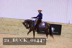 21_BUCK_01447 proof