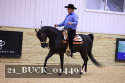 21_BUCK_01449 proof
