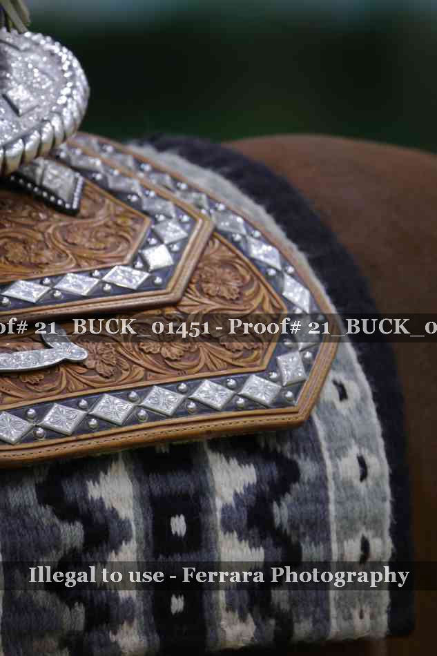 Proof 21_BUCK_01451
