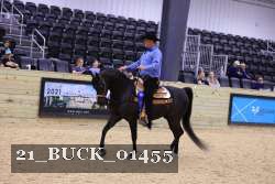 21_BUCK_01455 proof