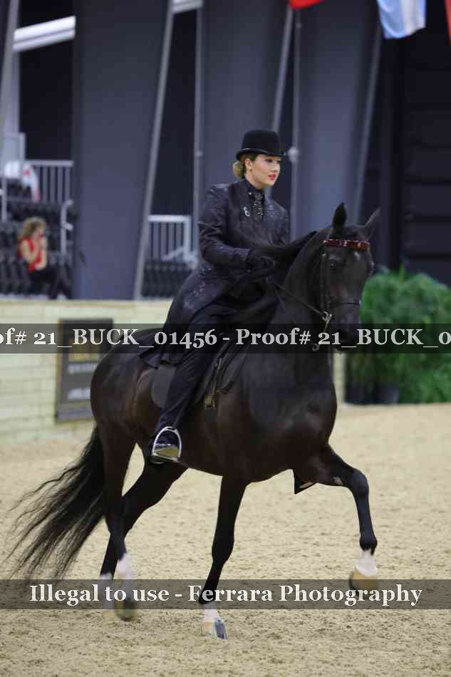 Proof 21_BUCK_01456
