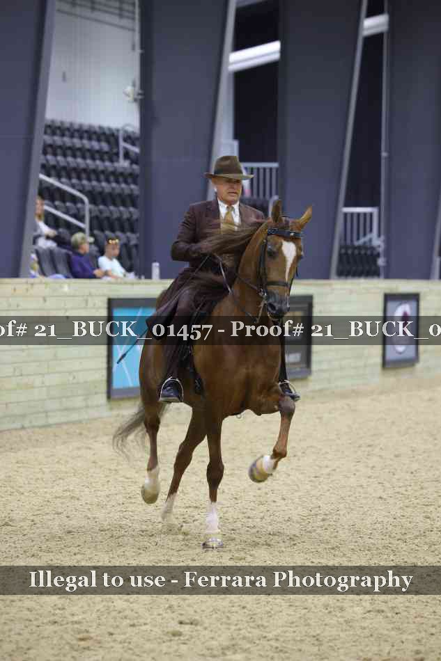 Proof 21_BUCK_01457