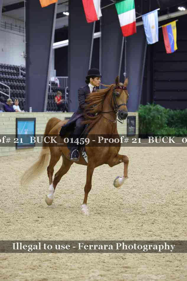 Proof 21_BUCK_01459