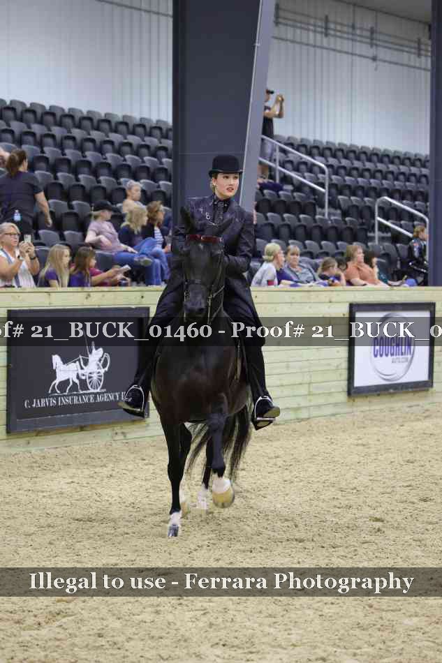Proof 21_BUCK_01460