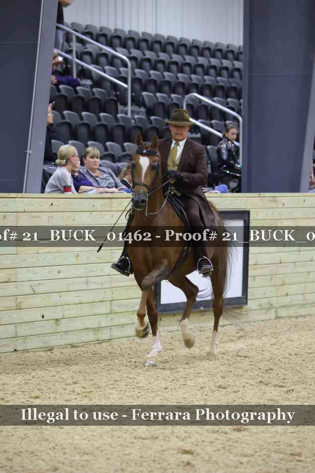 Proof 21_BUCK_01462