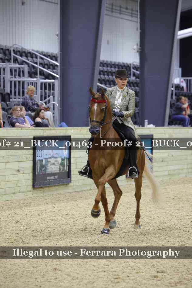 Proof 21_BUCK_01463