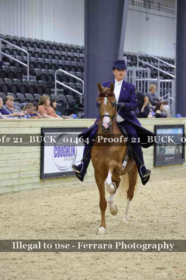 Proof 21_BUCK_01464