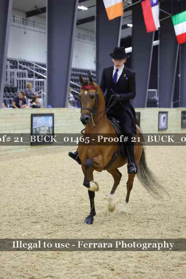 Proof 21_BUCK_01465