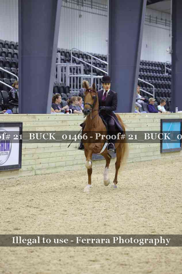 Proof 21_BUCK_01466