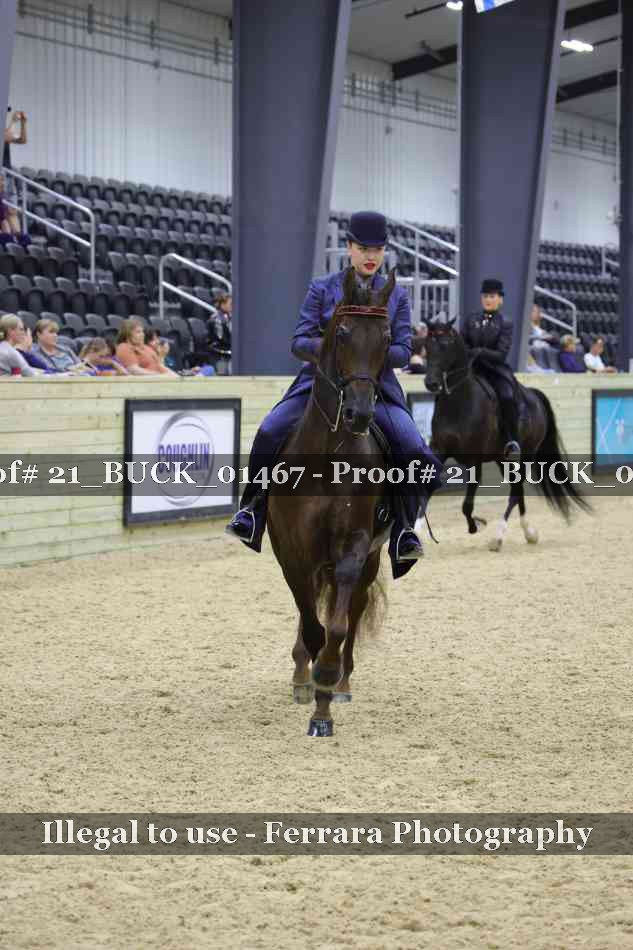 Proof 21_BUCK_01467