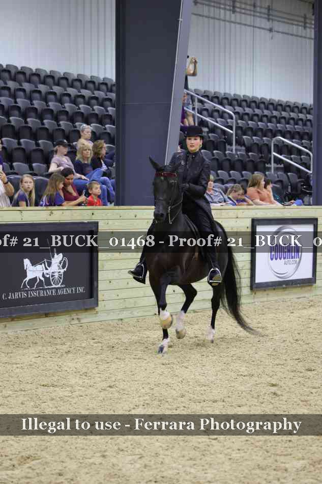 Proof 21_BUCK_01468