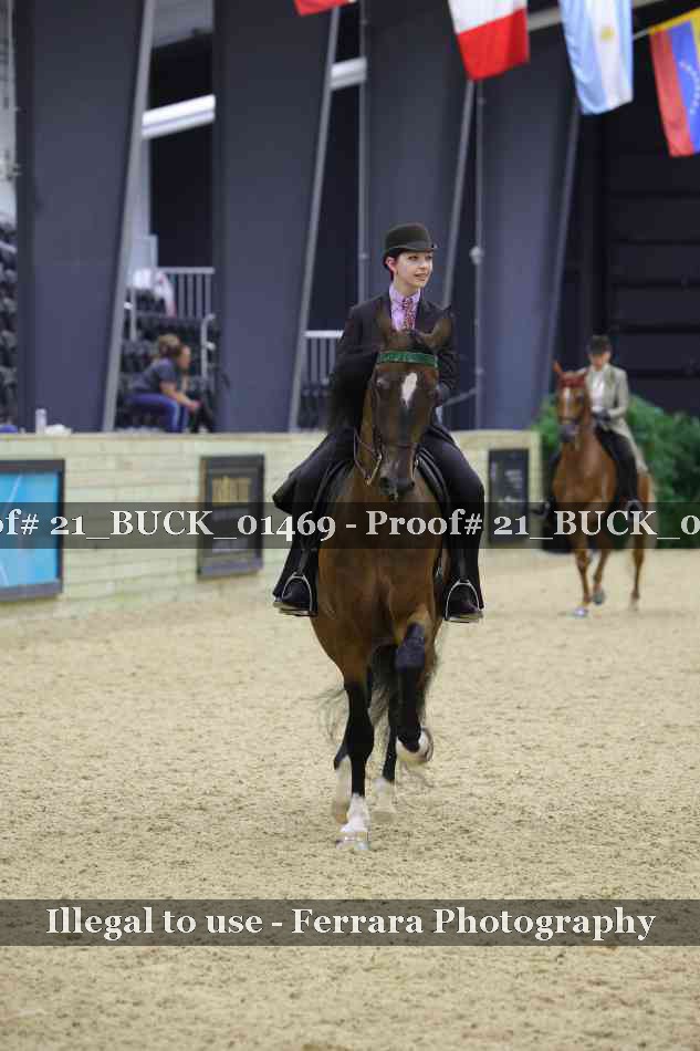 Proof 21_BUCK_01469