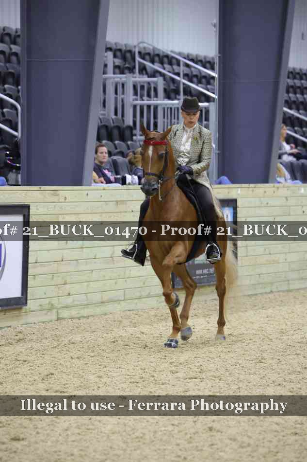 Proof 21_BUCK_01470