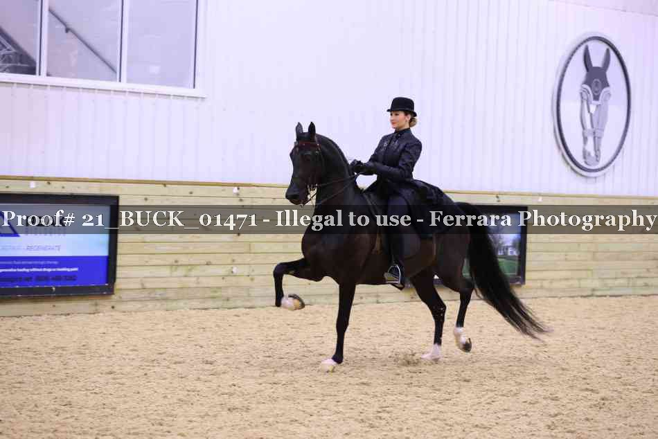 Proof 21_BUCK_01471