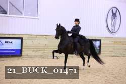 21_BUCK_01471 proof