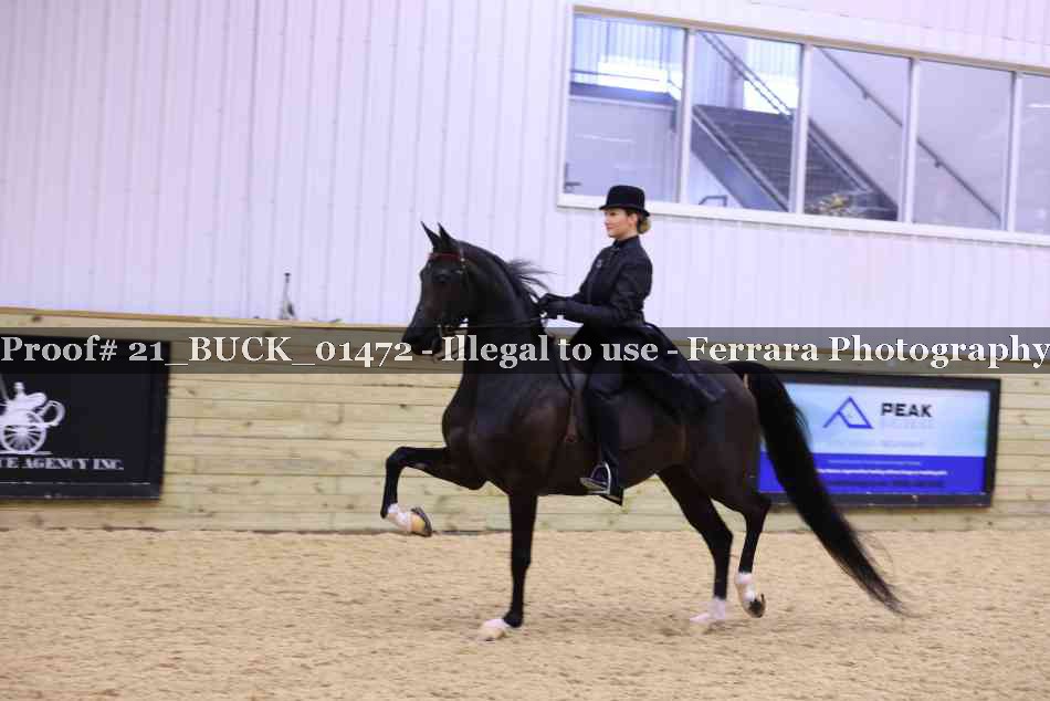Proof 21_BUCK_01472