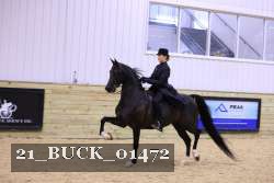 21_BUCK_01472 proof