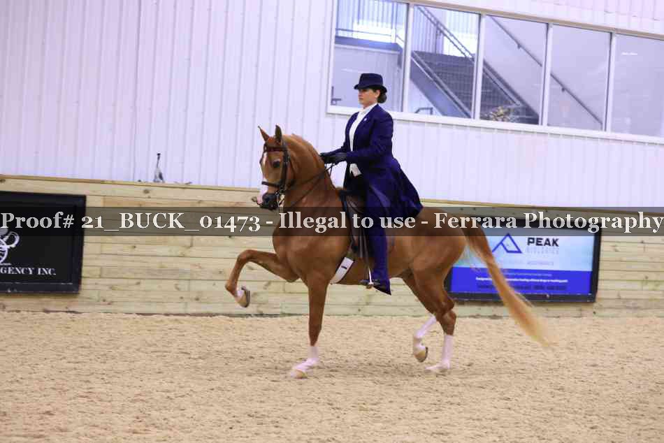Proof 21_BUCK_01473