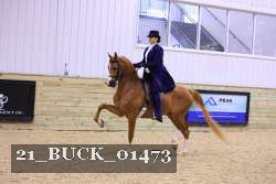 21_BUCK_01473 proof