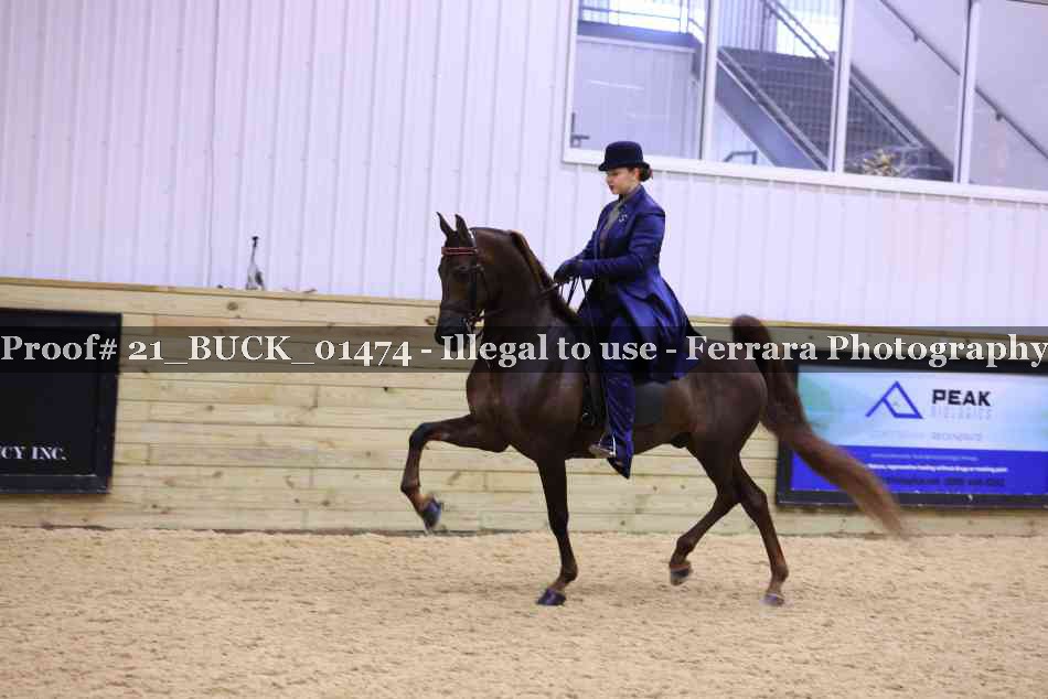 Proof 21_BUCK_01474