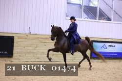 21_BUCK_01474 proof