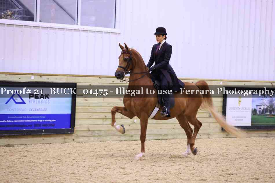 Proof 21_BUCK_01475
