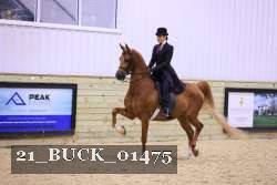 21_BUCK_01475 proof