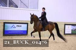 21_BUCK_01476 proof