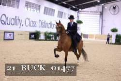 21_BUCK_01477 proof