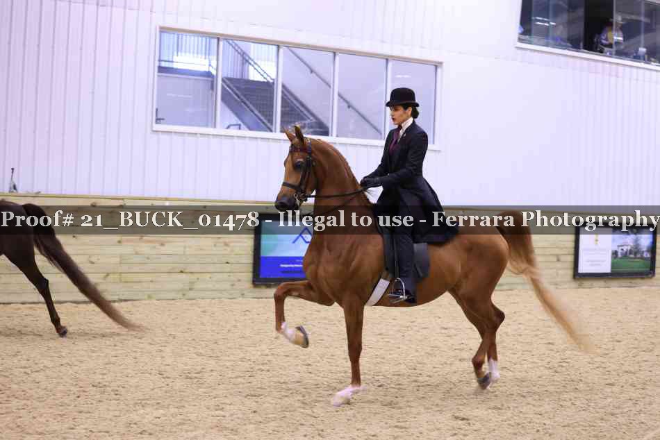 Proof 21_BUCK_01478