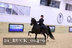 21_BUCK_01479 proof