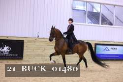 21_BUCK_01480 proof
