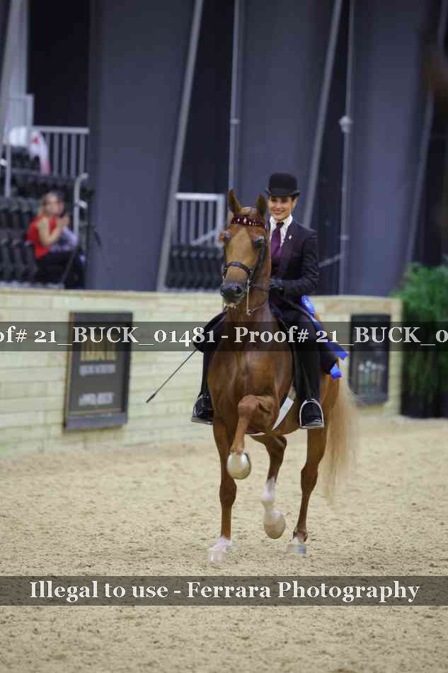 Proof 21_BUCK_01481