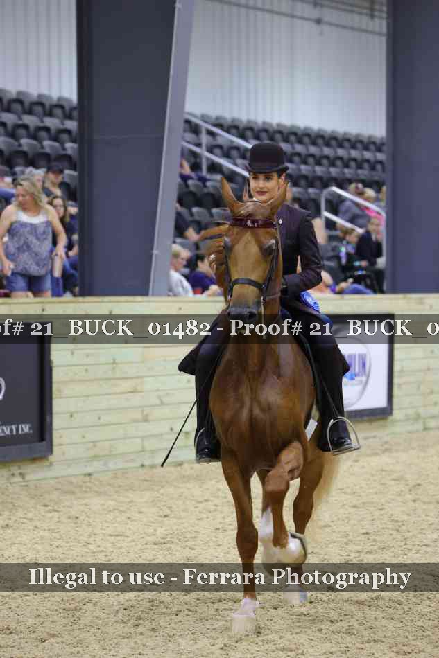 Proof 21_BUCK_01482