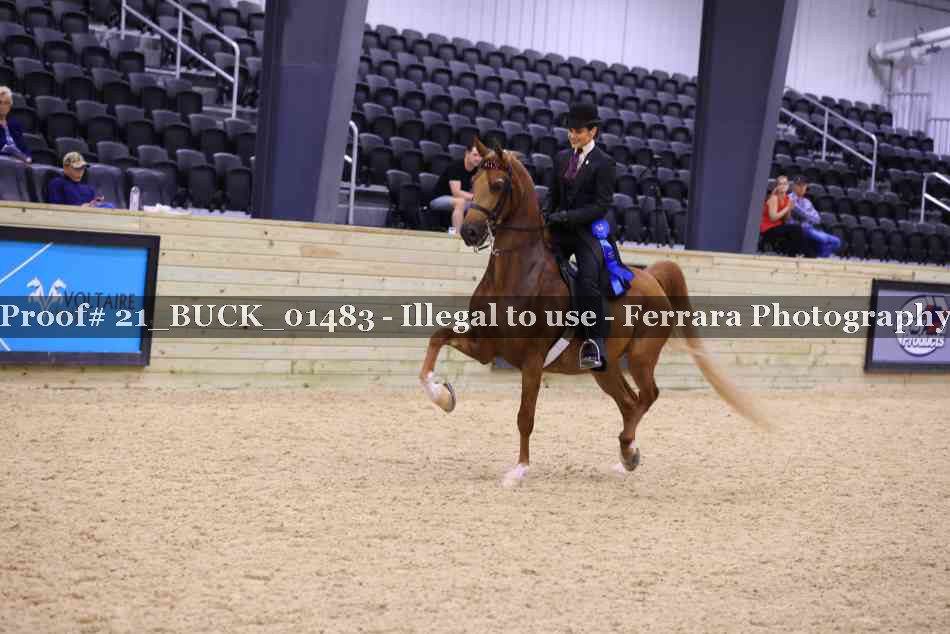 Proof 21_BUCK_01483