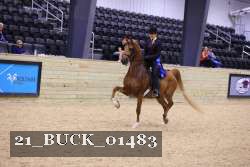 21_BUCK_01483 proof
