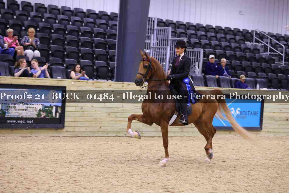 Proof 21_BUCK_01484
