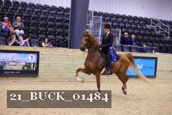 21_BUCK_01484 proof