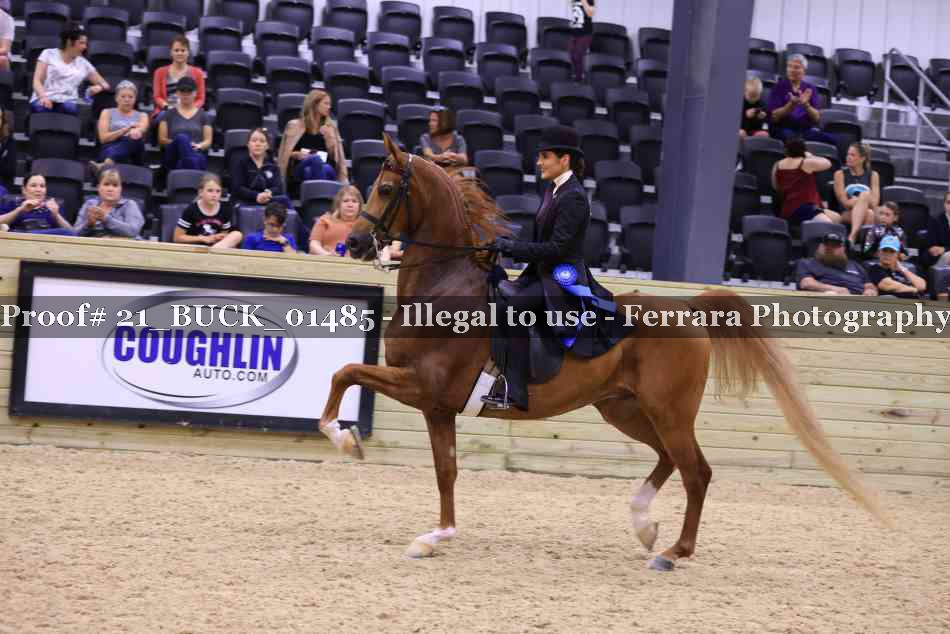 Proof 21_BUCK_01485