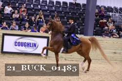 21_BUCK_01485 proof