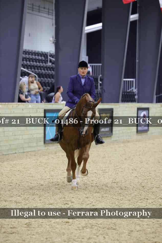 Proof 21_BUCK_01486