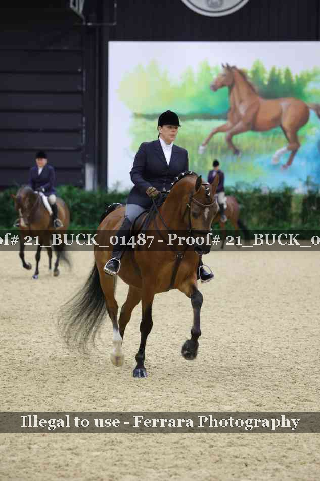 Proof 21_BUCK_01487