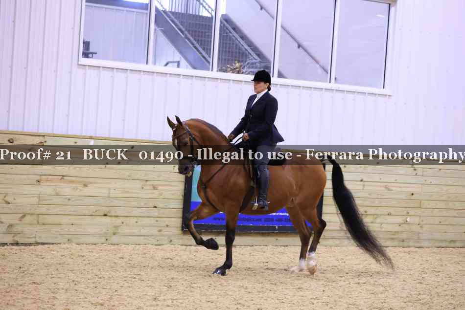 Proof 21_BUCK_01490