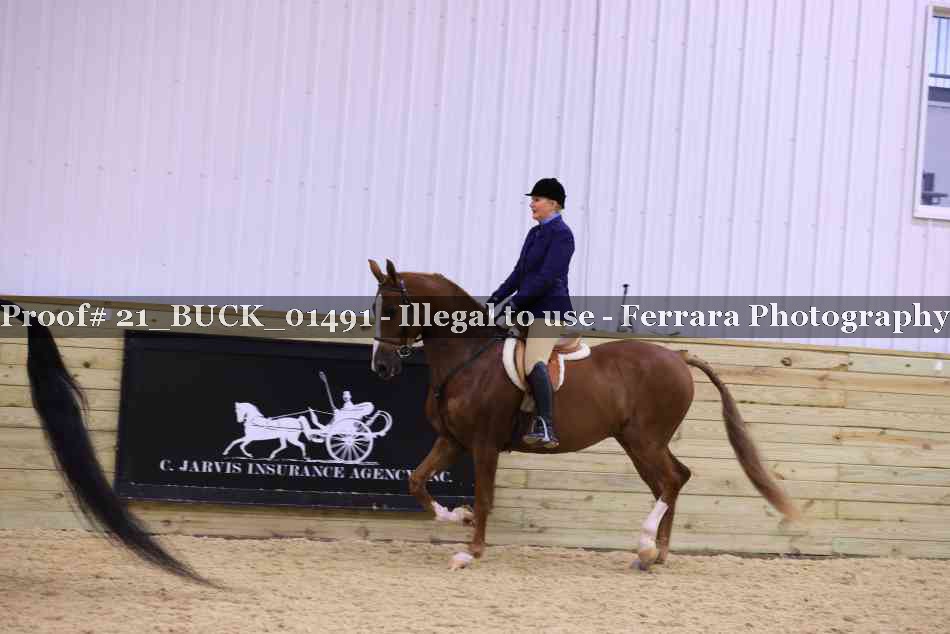 Proof 21_BUCK_01491
